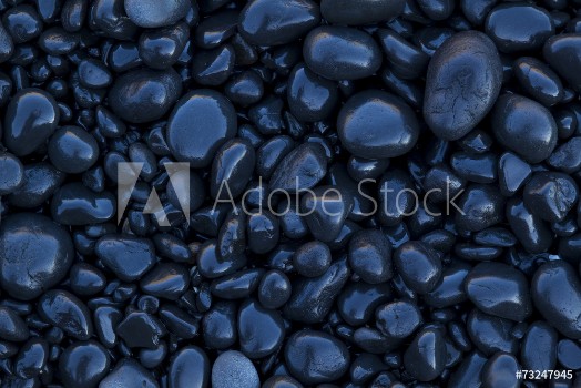 Picture of Black Shore Rocks